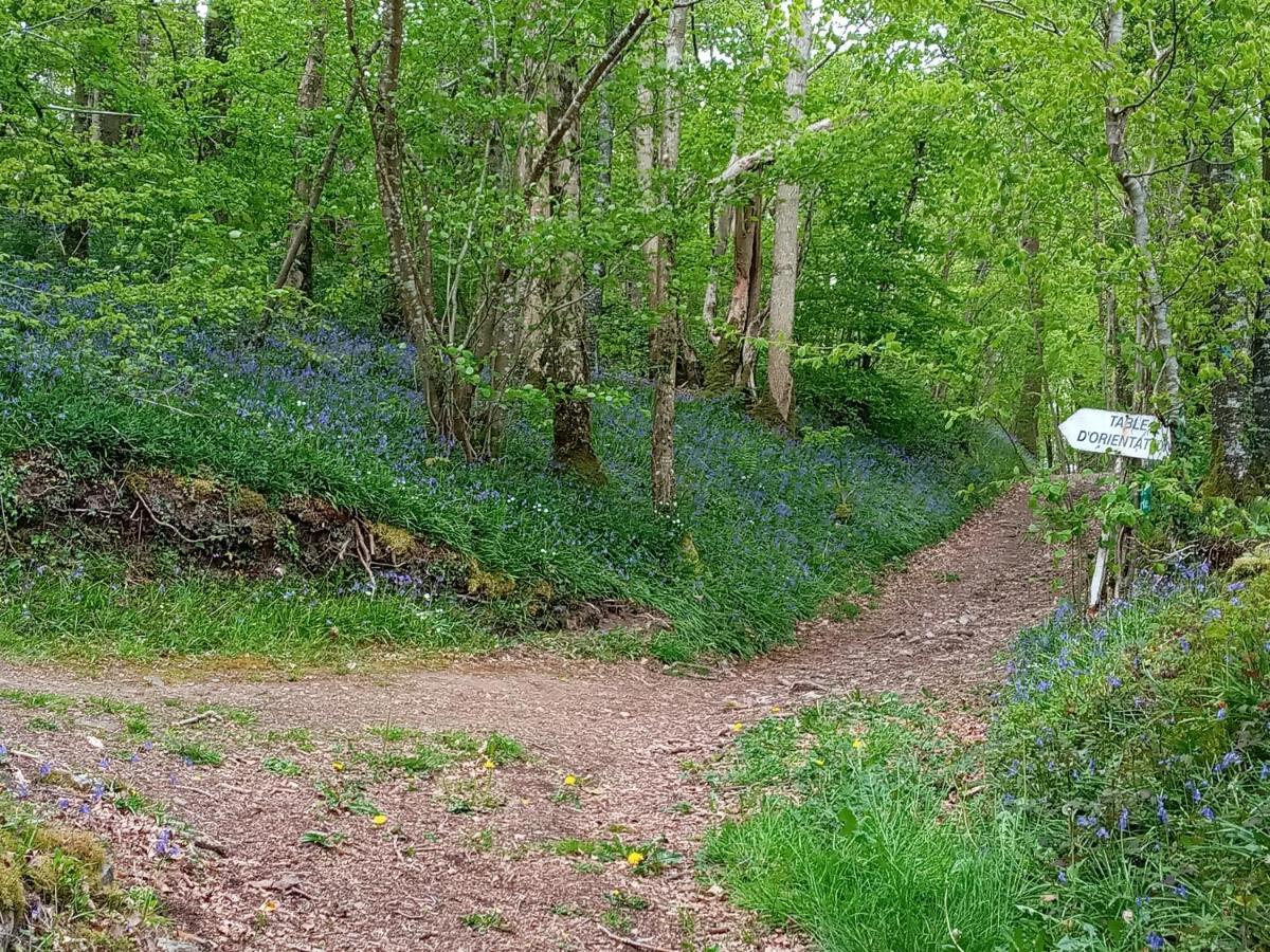 La Hiette Bed & Breakfast Saint-Vigor-des-Monts Eksteriør bilde